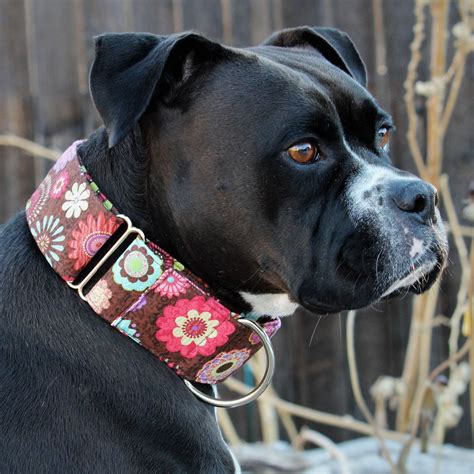 thick wide dog collars|thick dog collars with name.